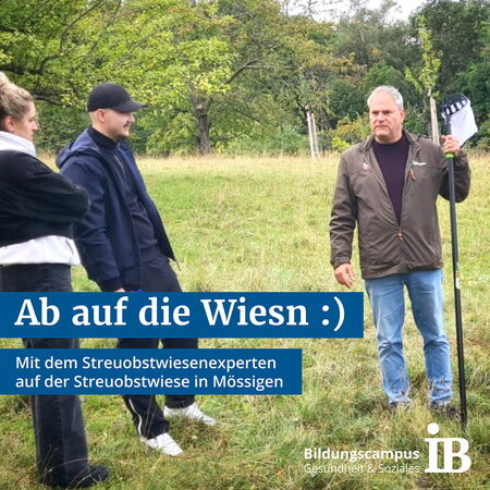 Personen stehen auf einer Streuobstwiese in Mössingen, während ein Experte mit einer langen Stange spricht.